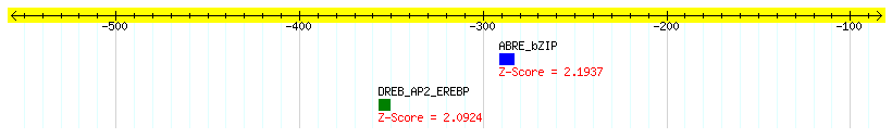 Os05g0519700_1000.png