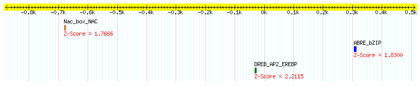 Os05g0574600_1000.png