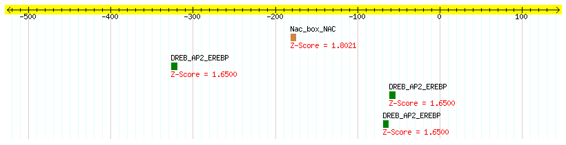 Os06g0687200_1000.png
