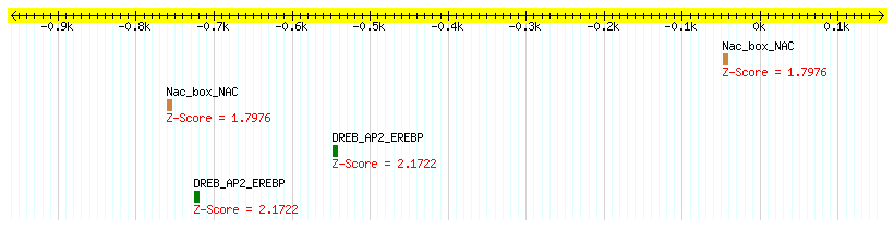 Os07g0258400_1000.png