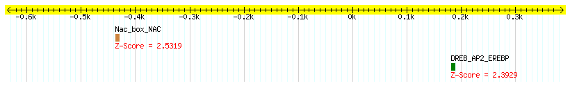 Os08g0136800_1000.png