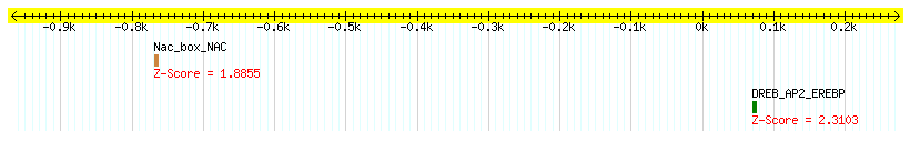 Os10g0471300_1000.png