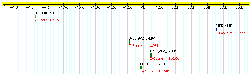 Os10g0529800_1000.png