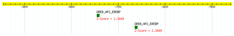 Os12g0176200_1000.png