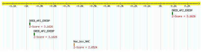 Os02g0245100_1000.png