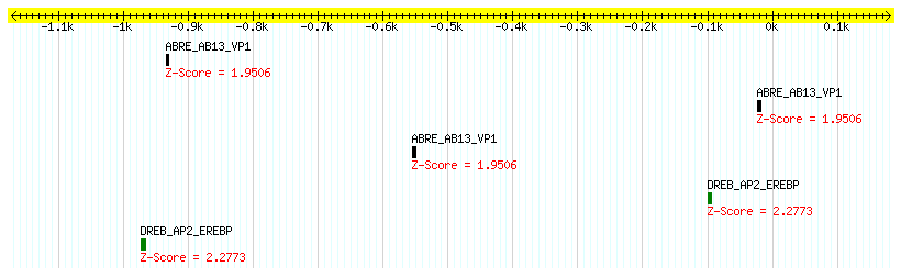 Os02g0621100_1000.png