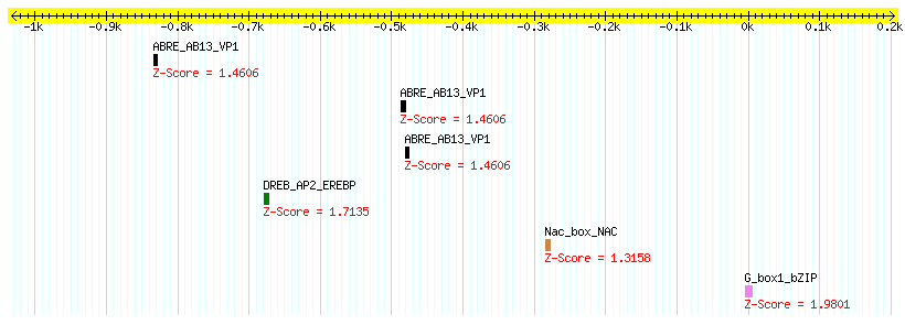 Os02g0792000_1000.png