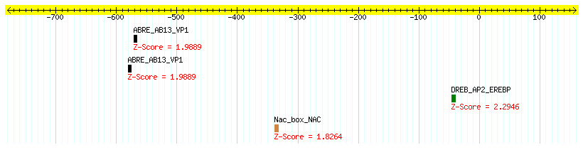 Os05g0386800_1000.png