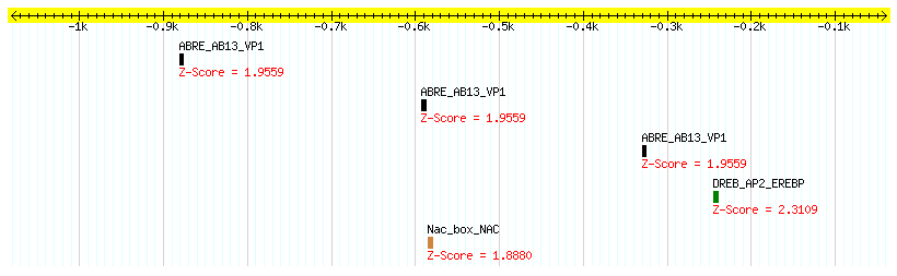 Os05g0450300_1000.png