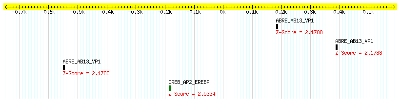 Os05g0457800_1000.png