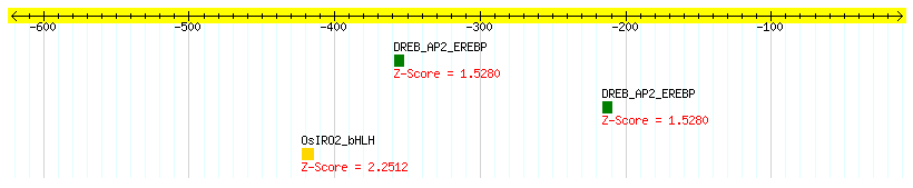 Os06g0229800_1000.png