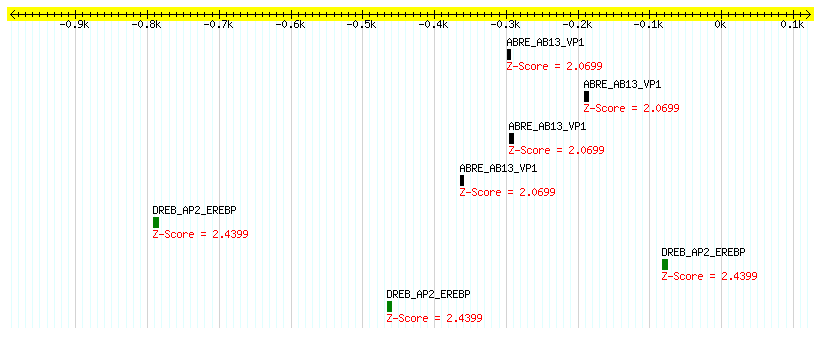 Os07g0686600_1000.png