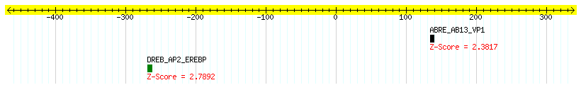 Os09g0453300_1000.png