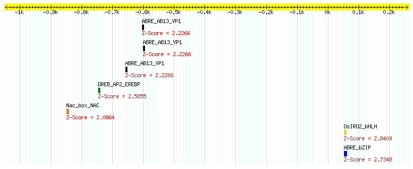 Os10g0490900_1000.png