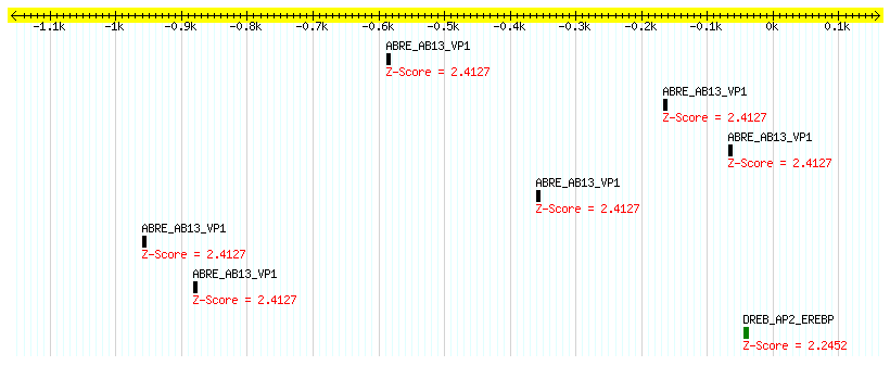 Os11g0135000_1000.png