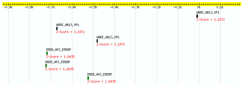 Os11g0151800_1000.png