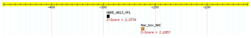 Os11g0666100_1000.png